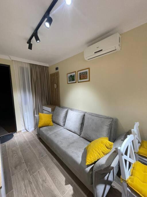 Sofia's Garage Apartment
